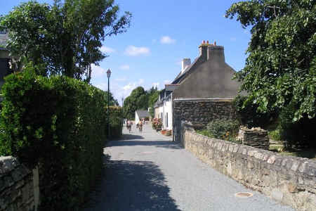 Rue des accacias Ile d'Arz